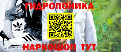 jwh Берёзовский
