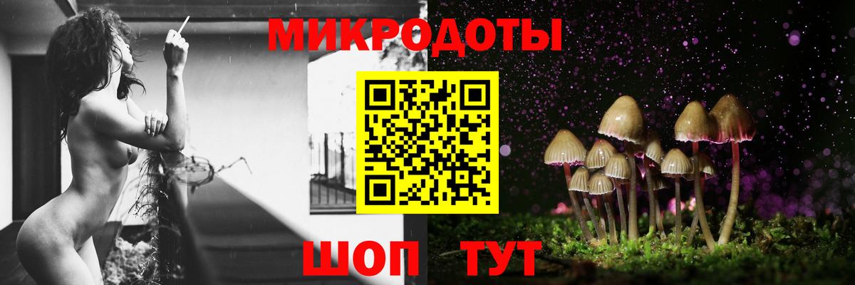 Галлюциногенные грибы MAGIC MUSHROOMS  Вход с VPN  Киселёвск  наркошоп  Псилоцибиновые грибы мицелий 